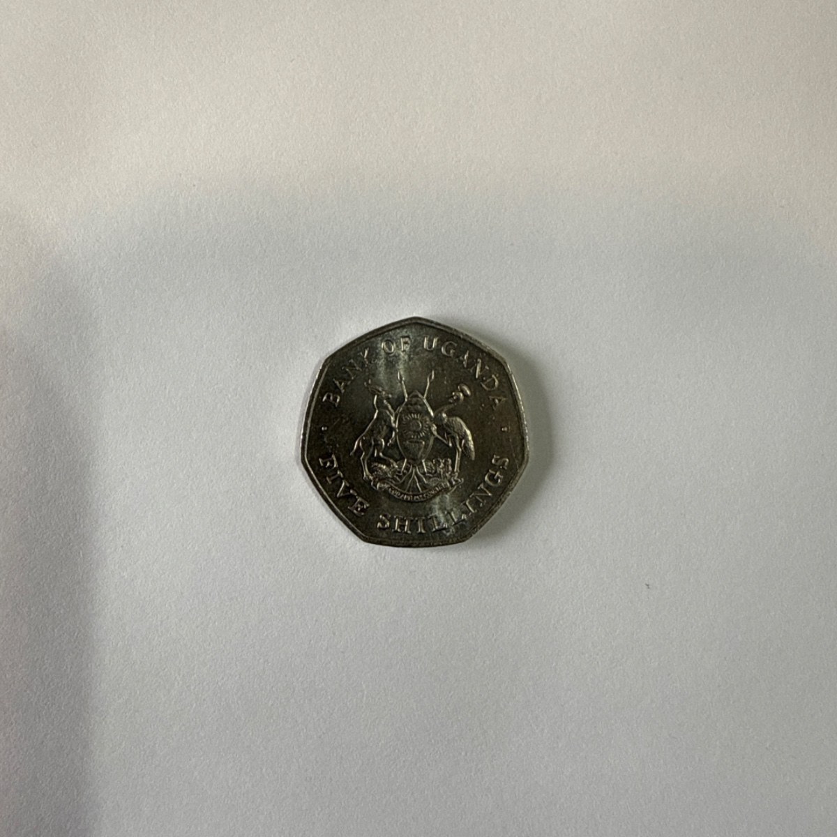 Reverso de 5 Shillings, 1987