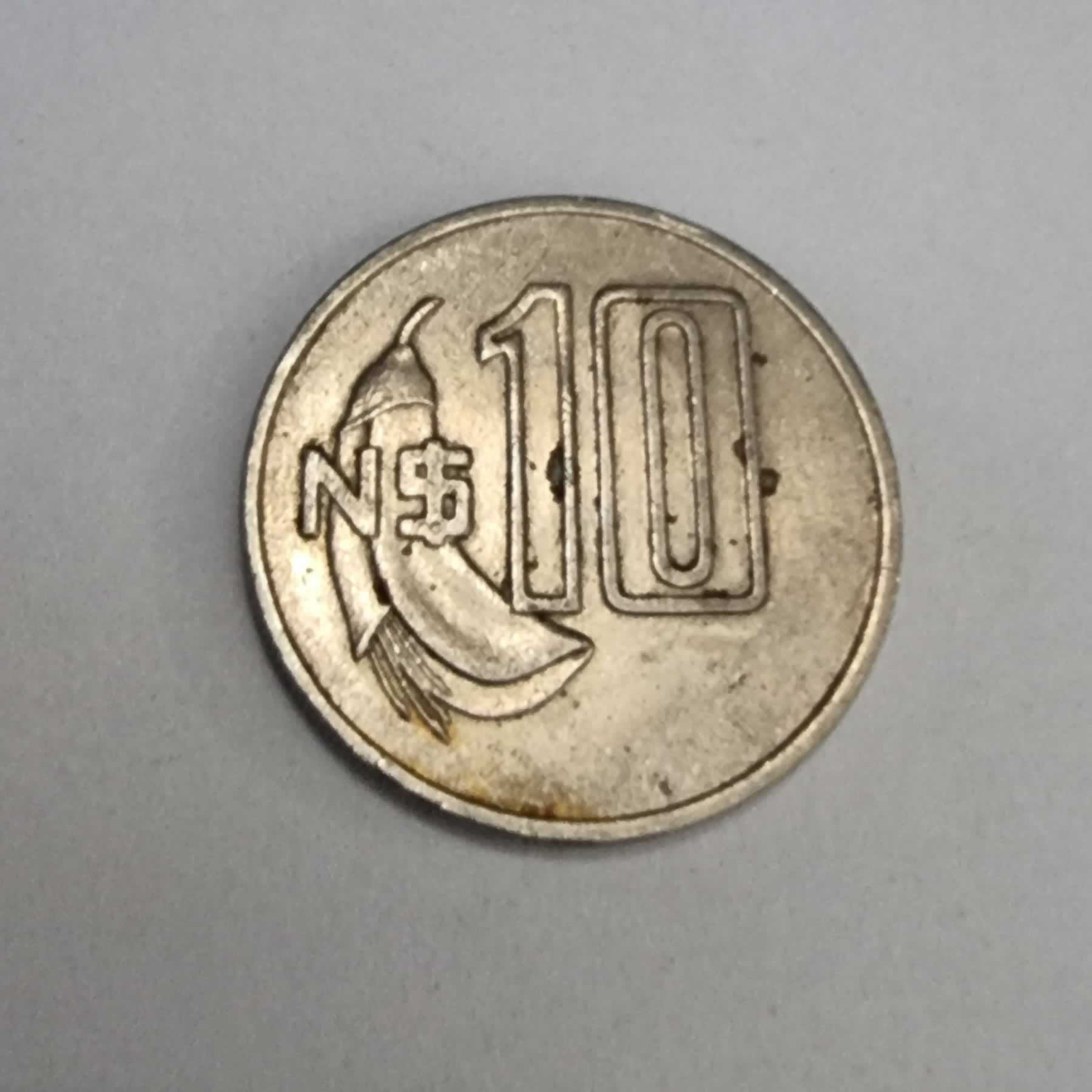 Reverso de 10 Nuevos Pesos, 1981 So