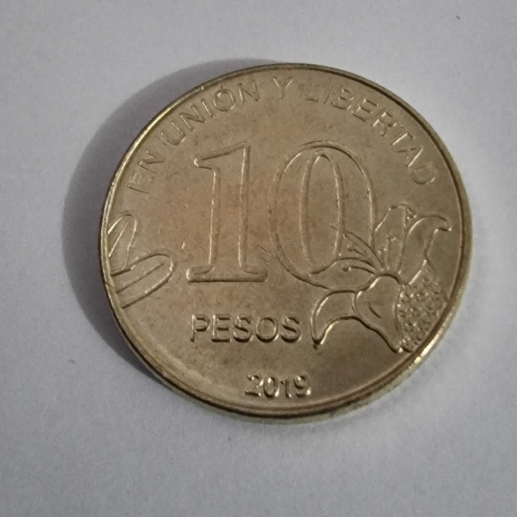 Reverso de 10 Pesos, 2019, Argentina