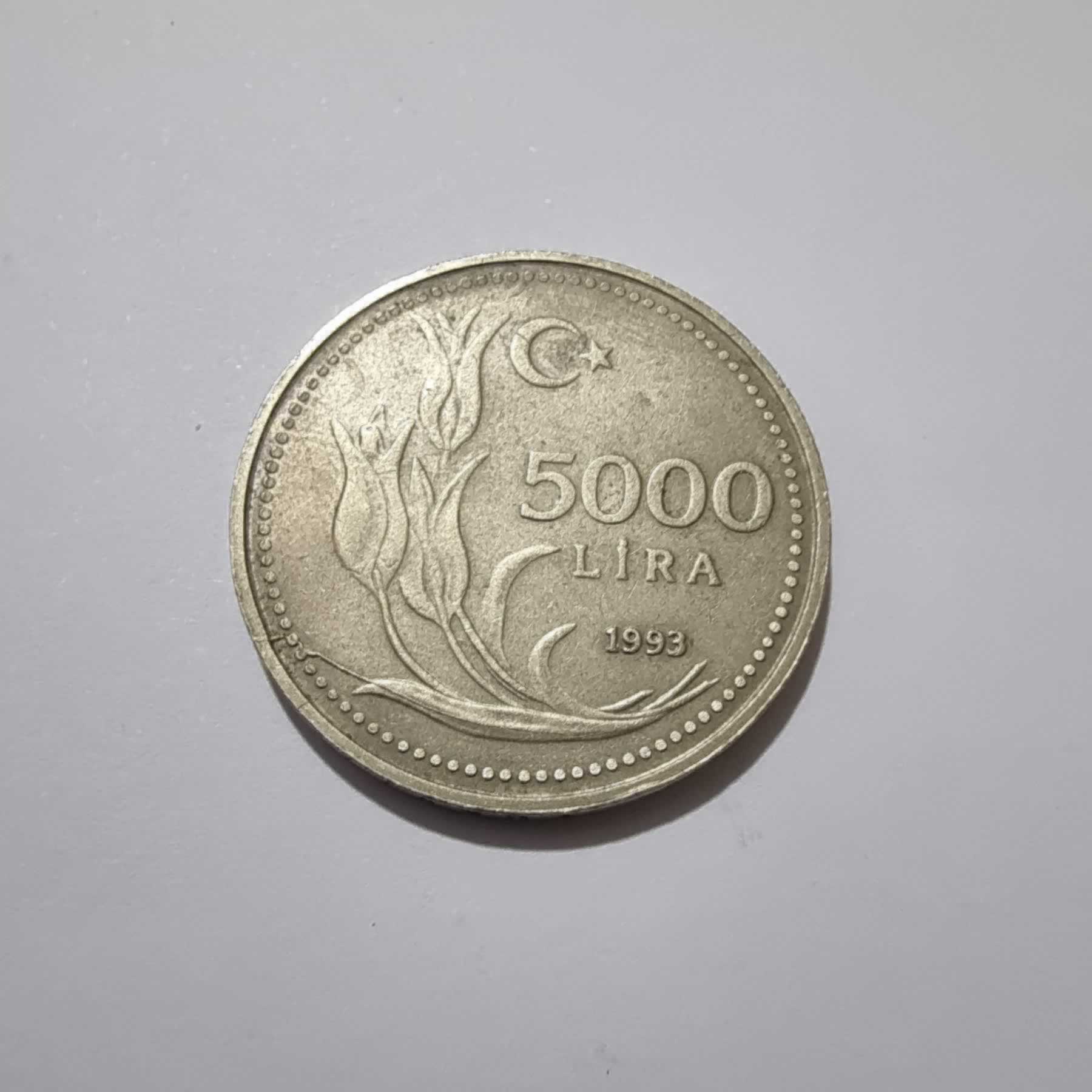 Reverso de 5000 Lira, 1993