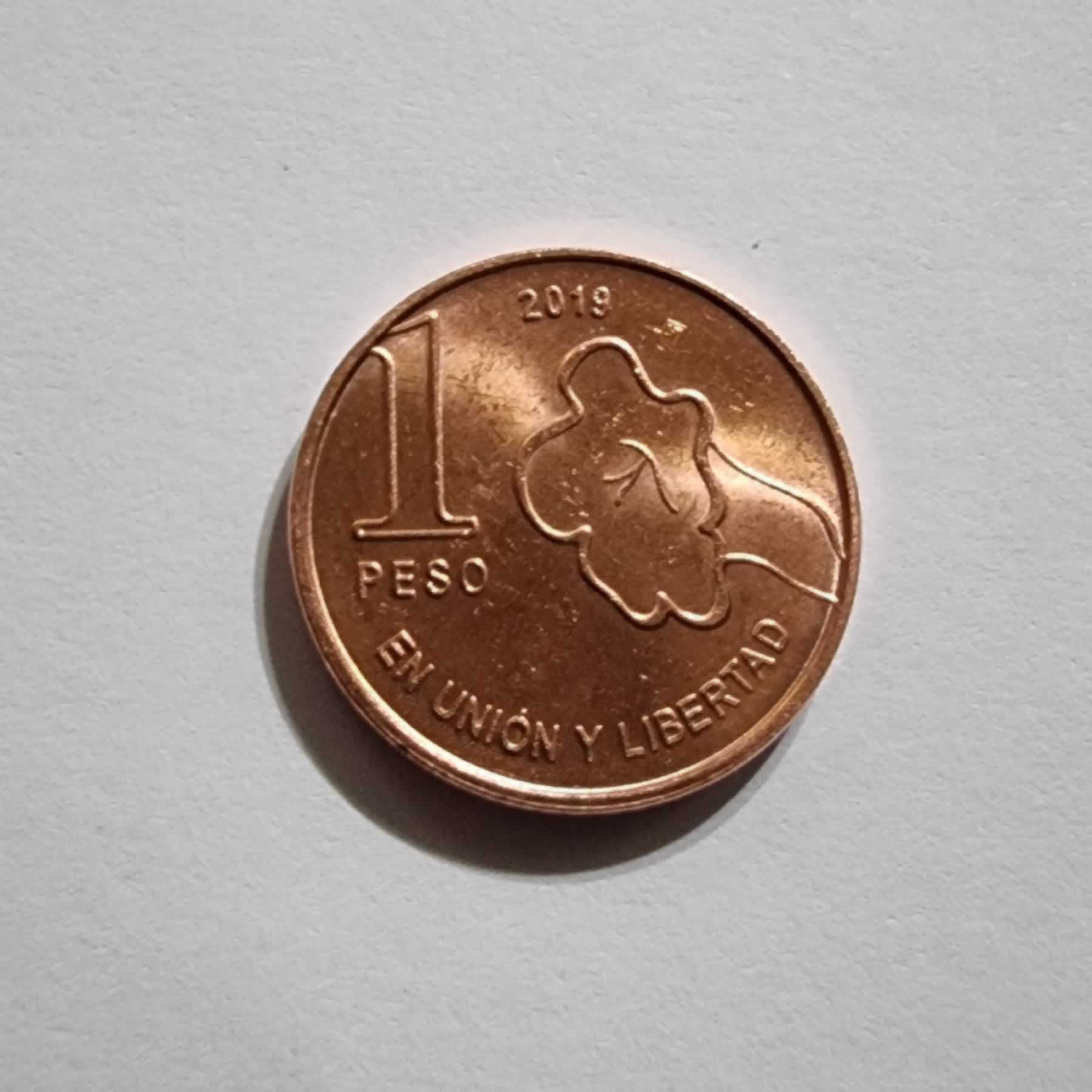 Reverso de 1 Peso, 2019, Argentina