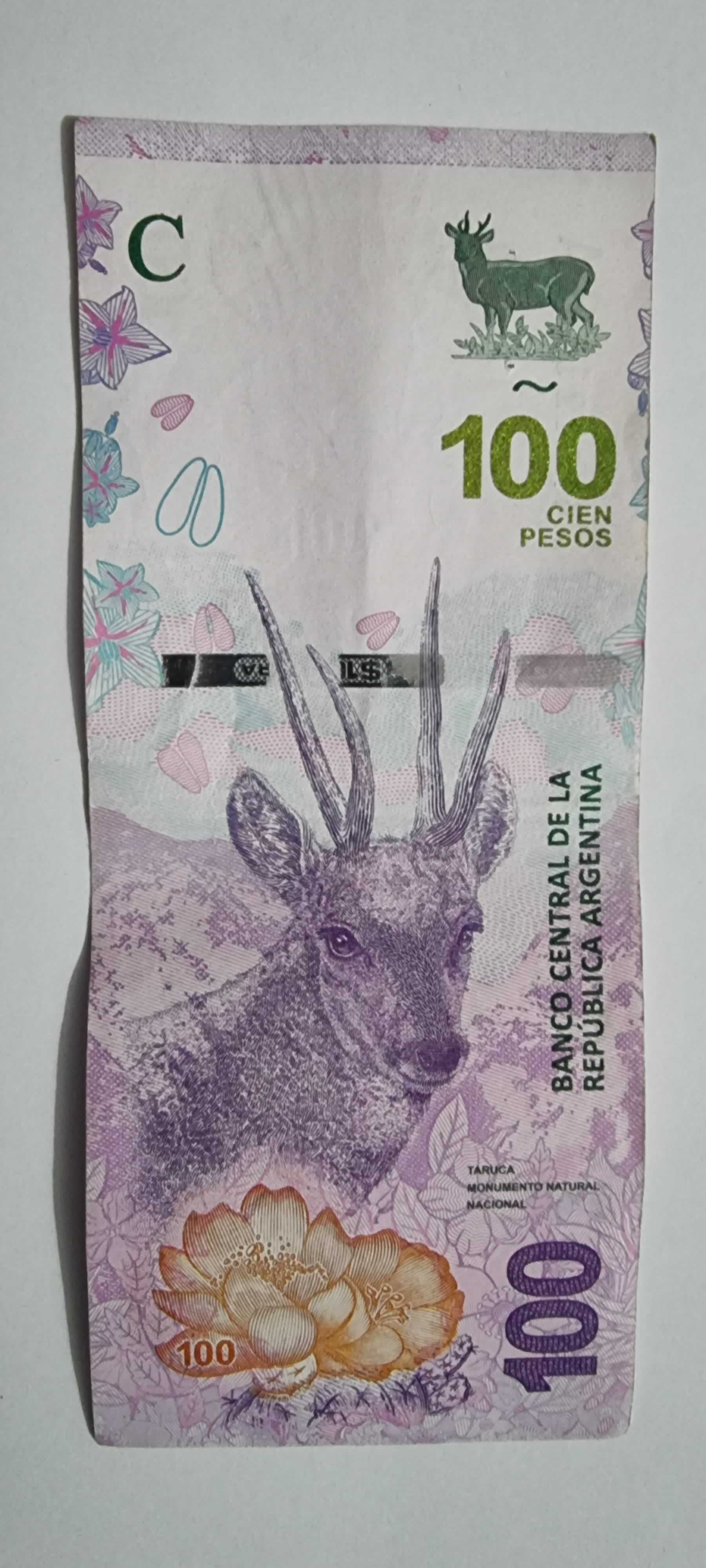 Anverso de 100 Pesos, 2018, Argentina