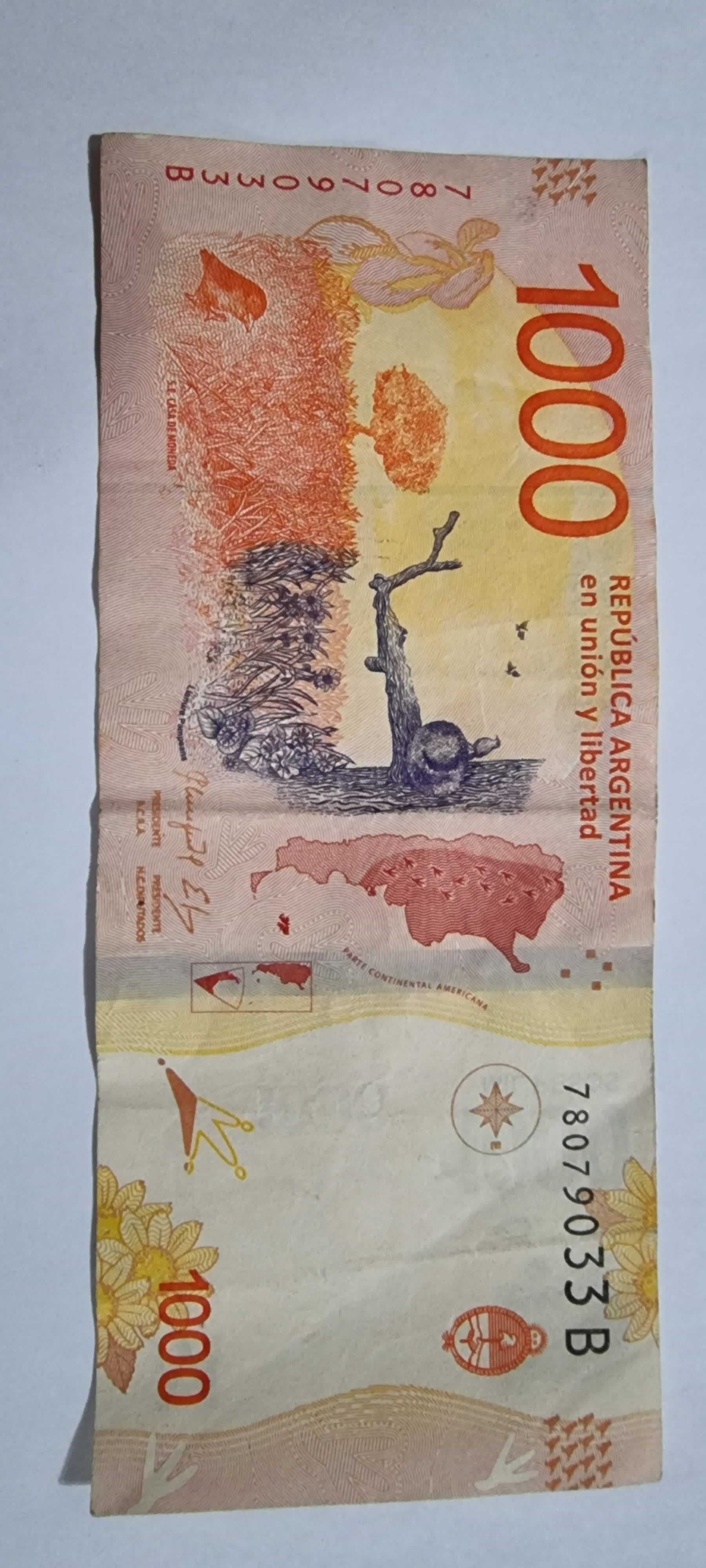 Reverso de 1000 Pesos, ND (2017)