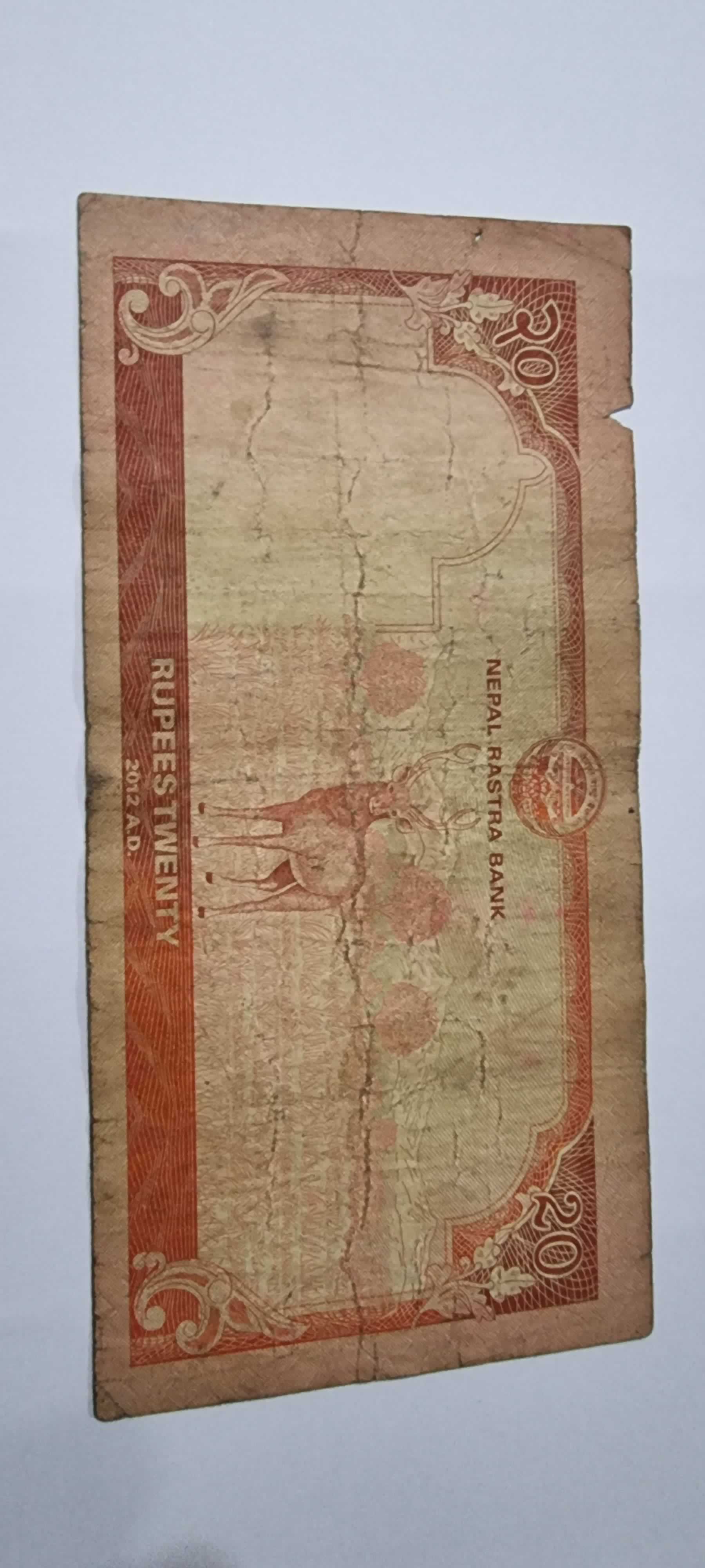 Reverso de 20 Rupees, 2012 (2013)