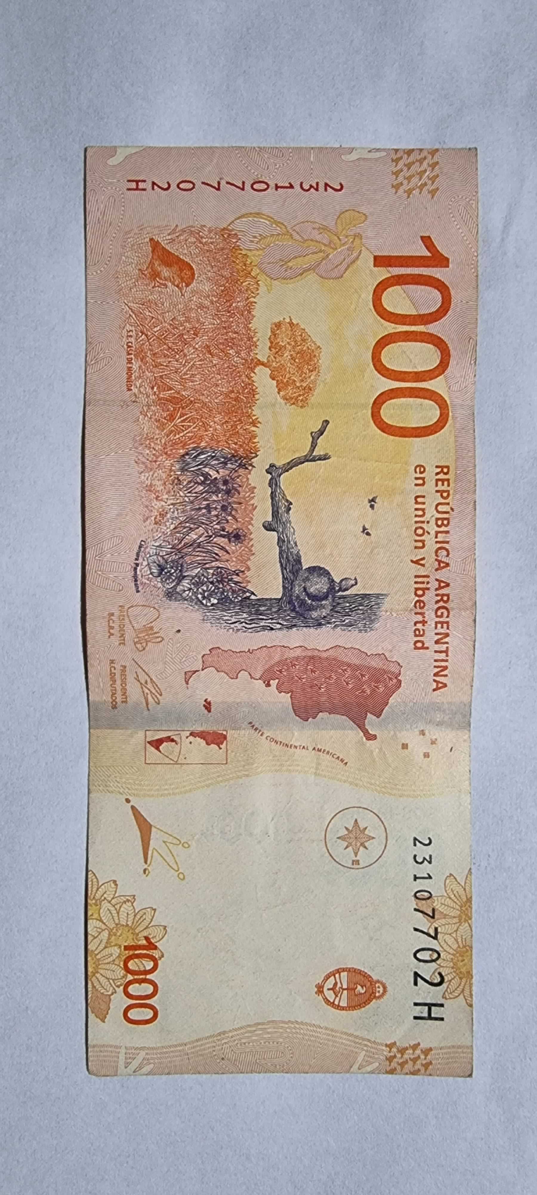 Reverso de 1000 pesos, 2019