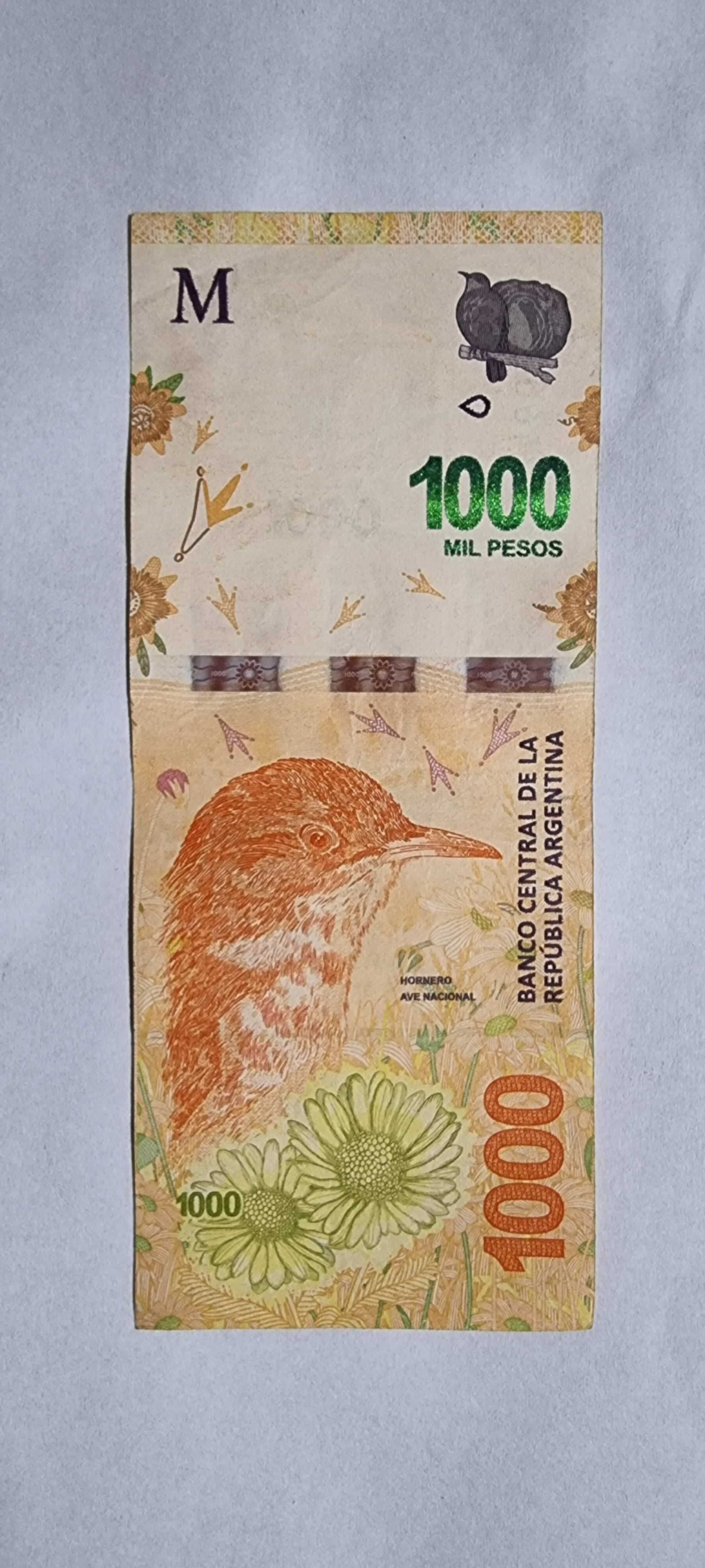Anverso de 1000 pesos, 2019
