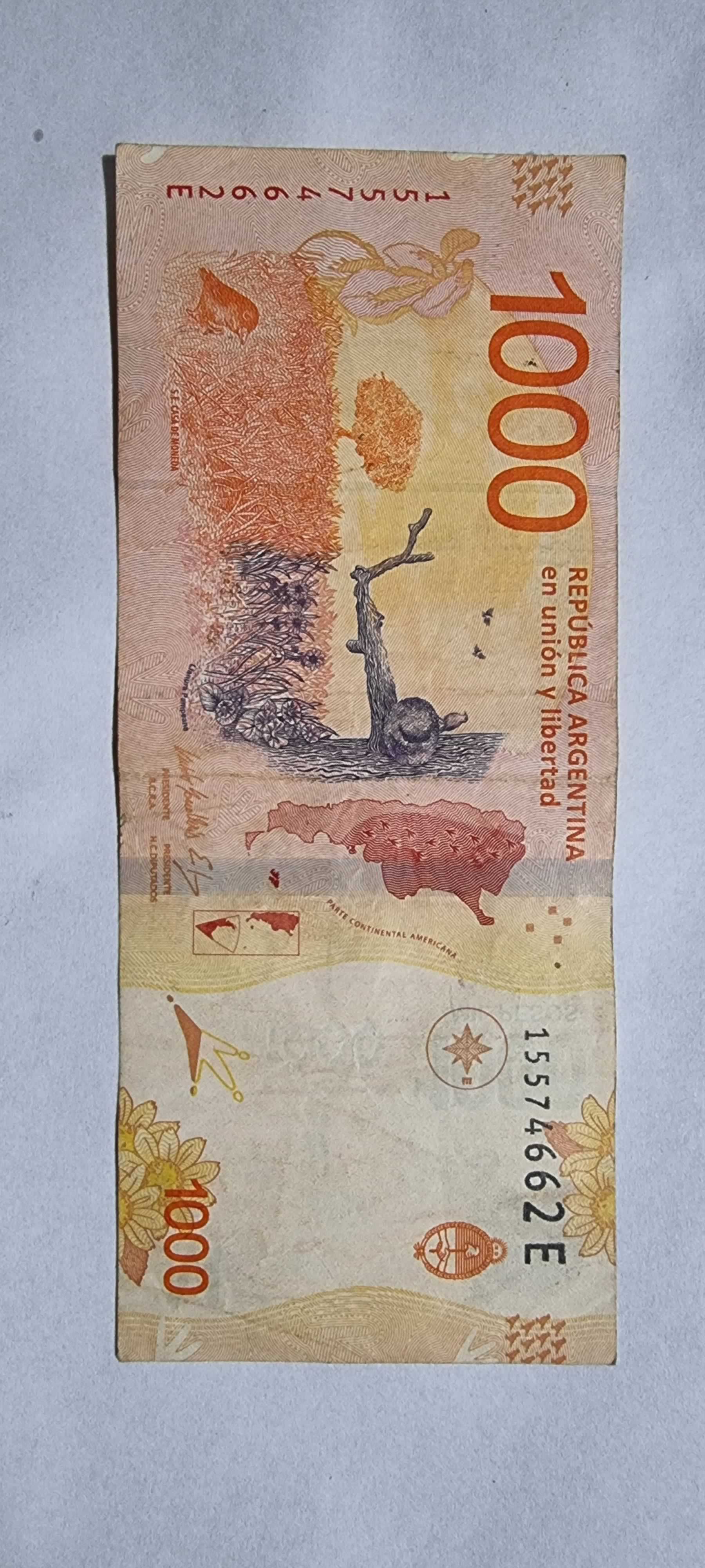 Reverso de 1000 pesos, 2019