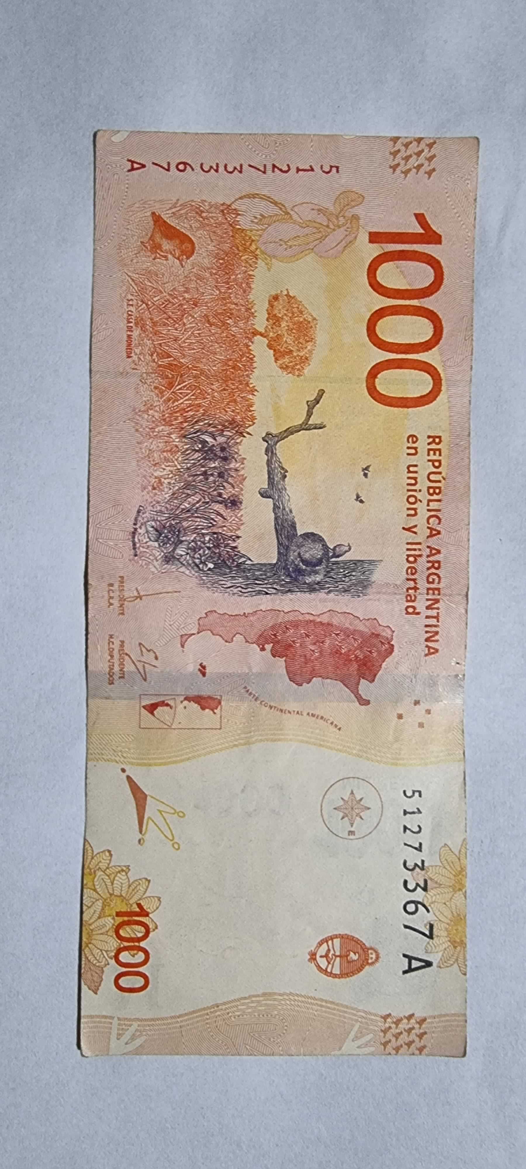 Reverso de 1000 pesos, 2017