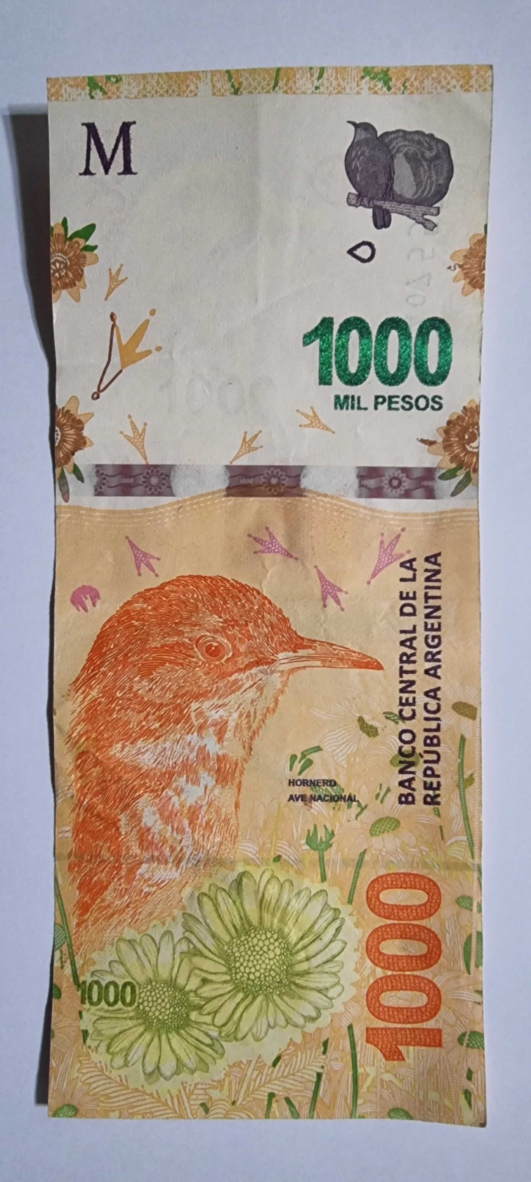 Anverso de 1000 pesos, 2019