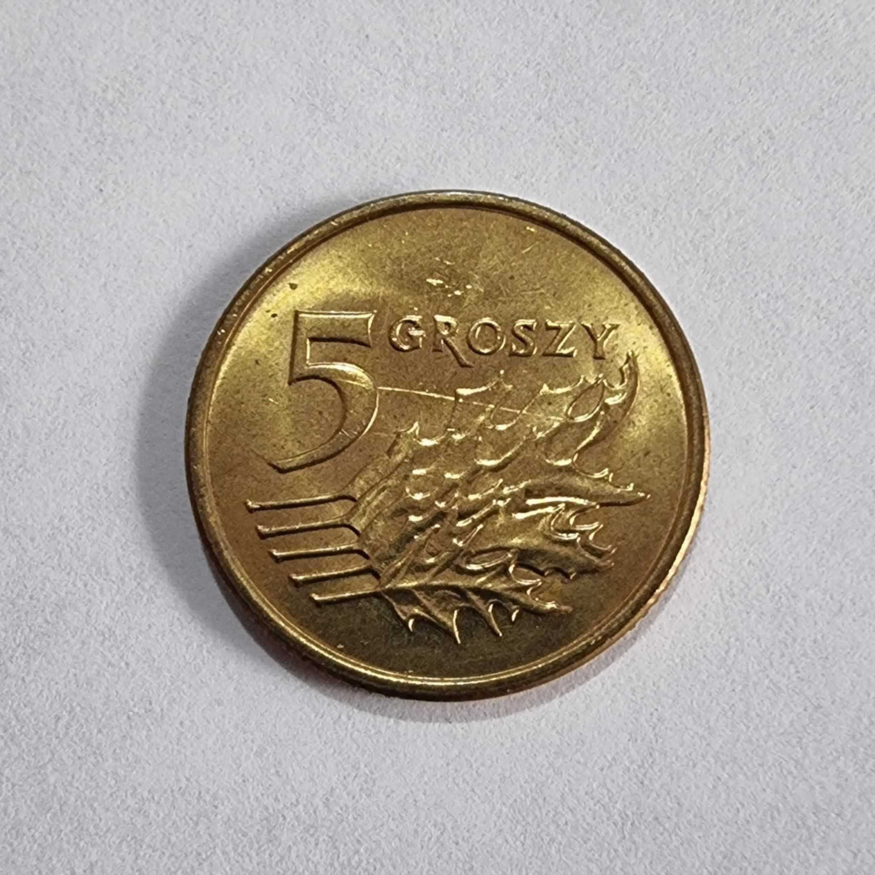 Reverso de 5 Groszy, 2000