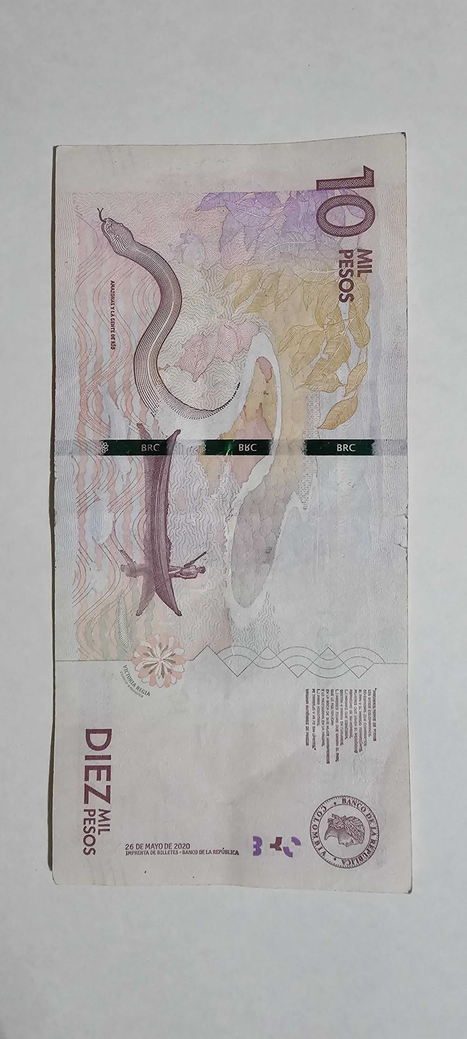 Reverso de 10000 Pesos, 2020