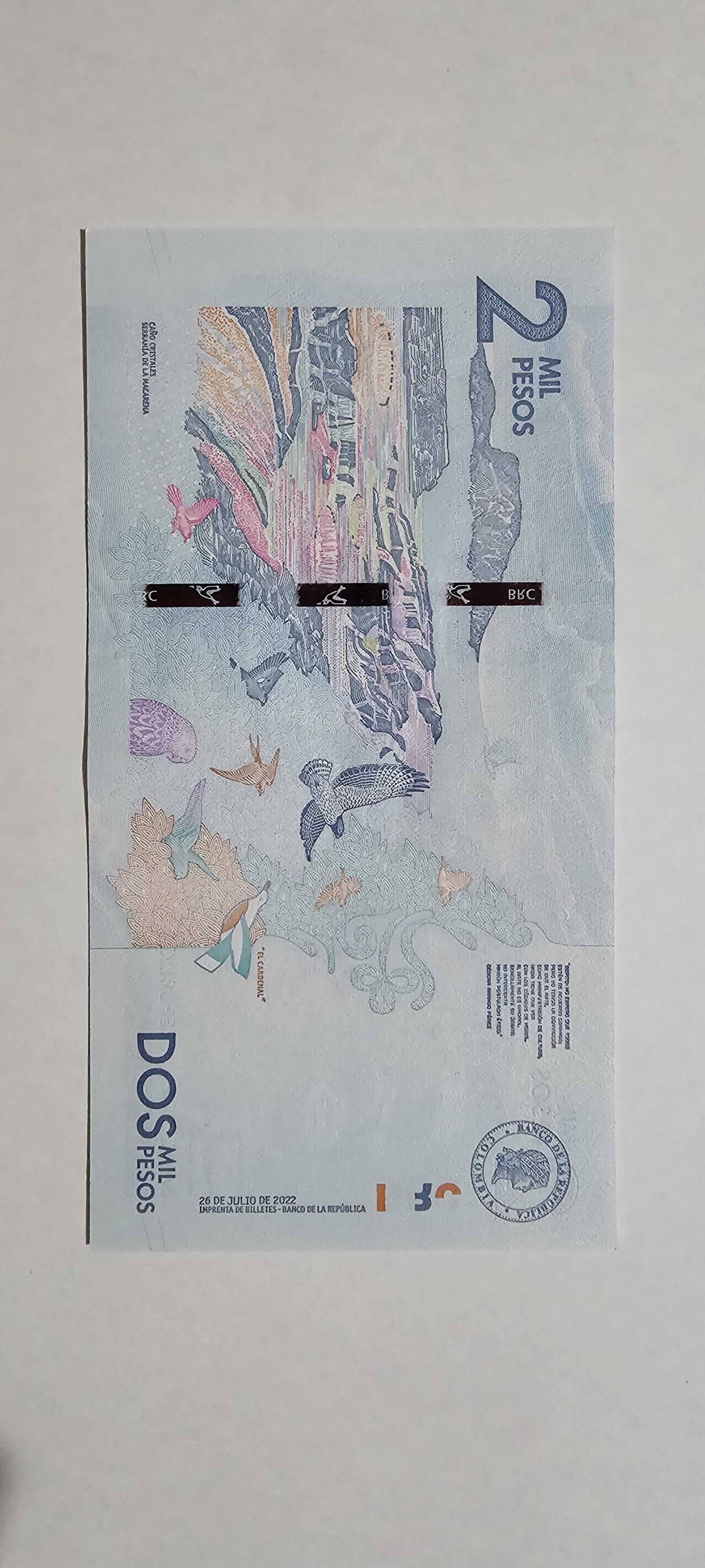 Reverso de 2000 Pesos, 2022