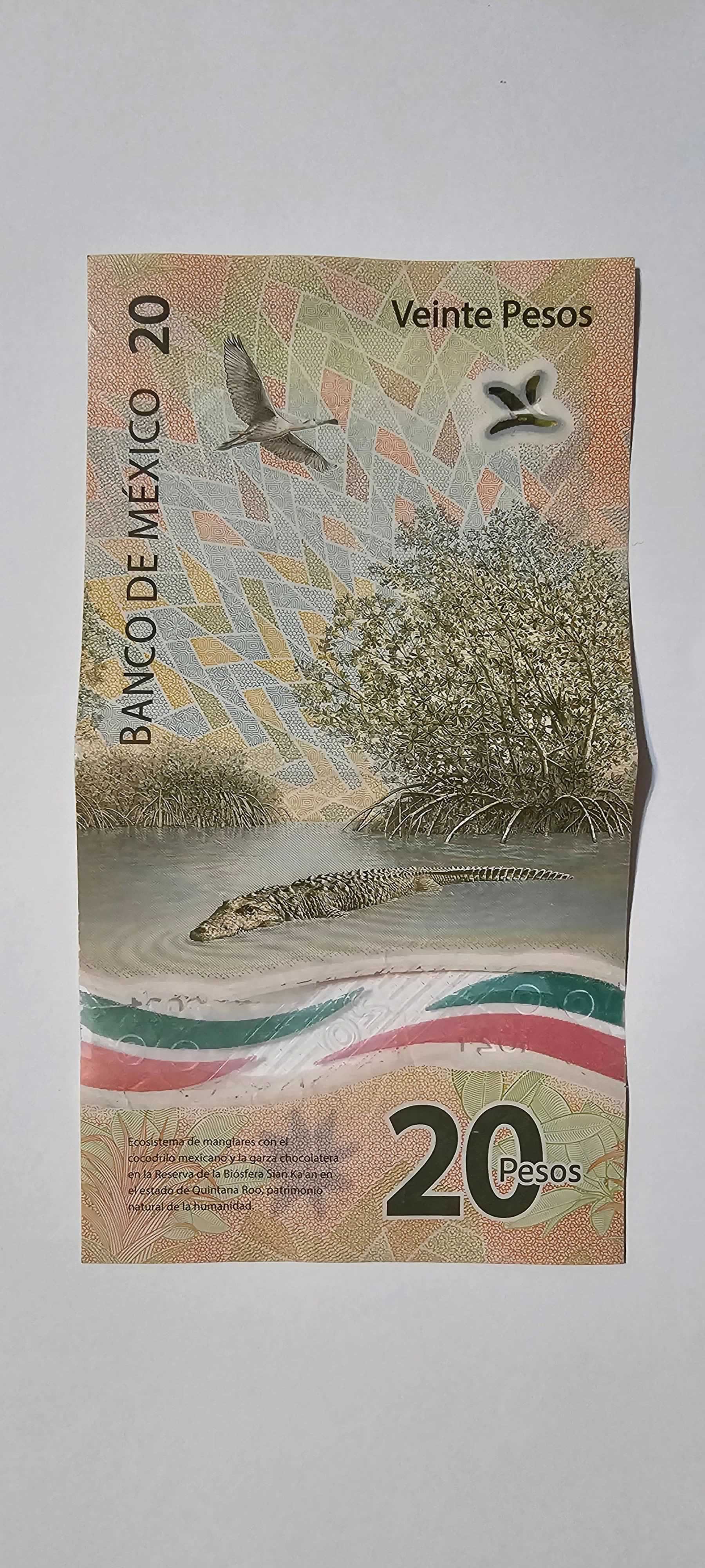 Reverso de 20 Pesos, 2021