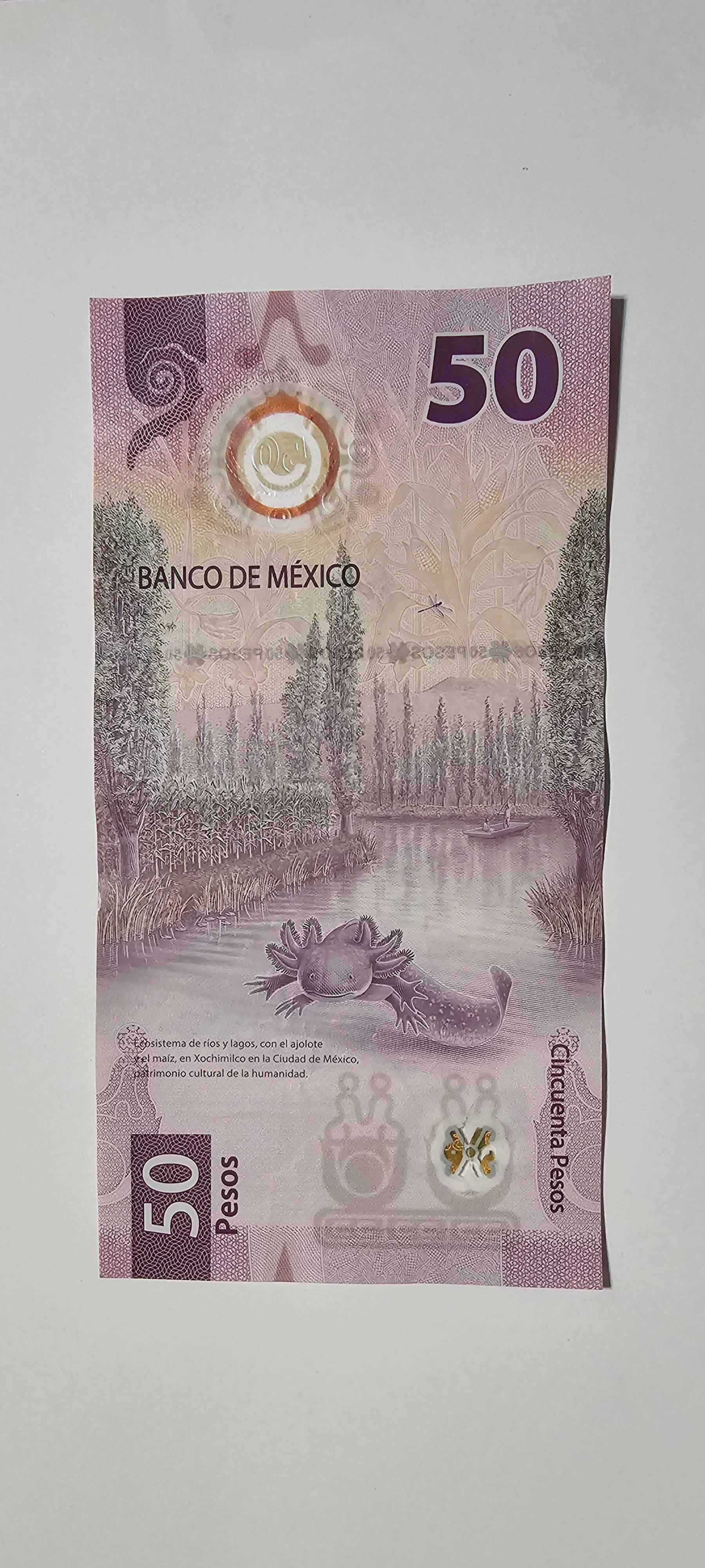 Reverso de 50 Pesos, 2022