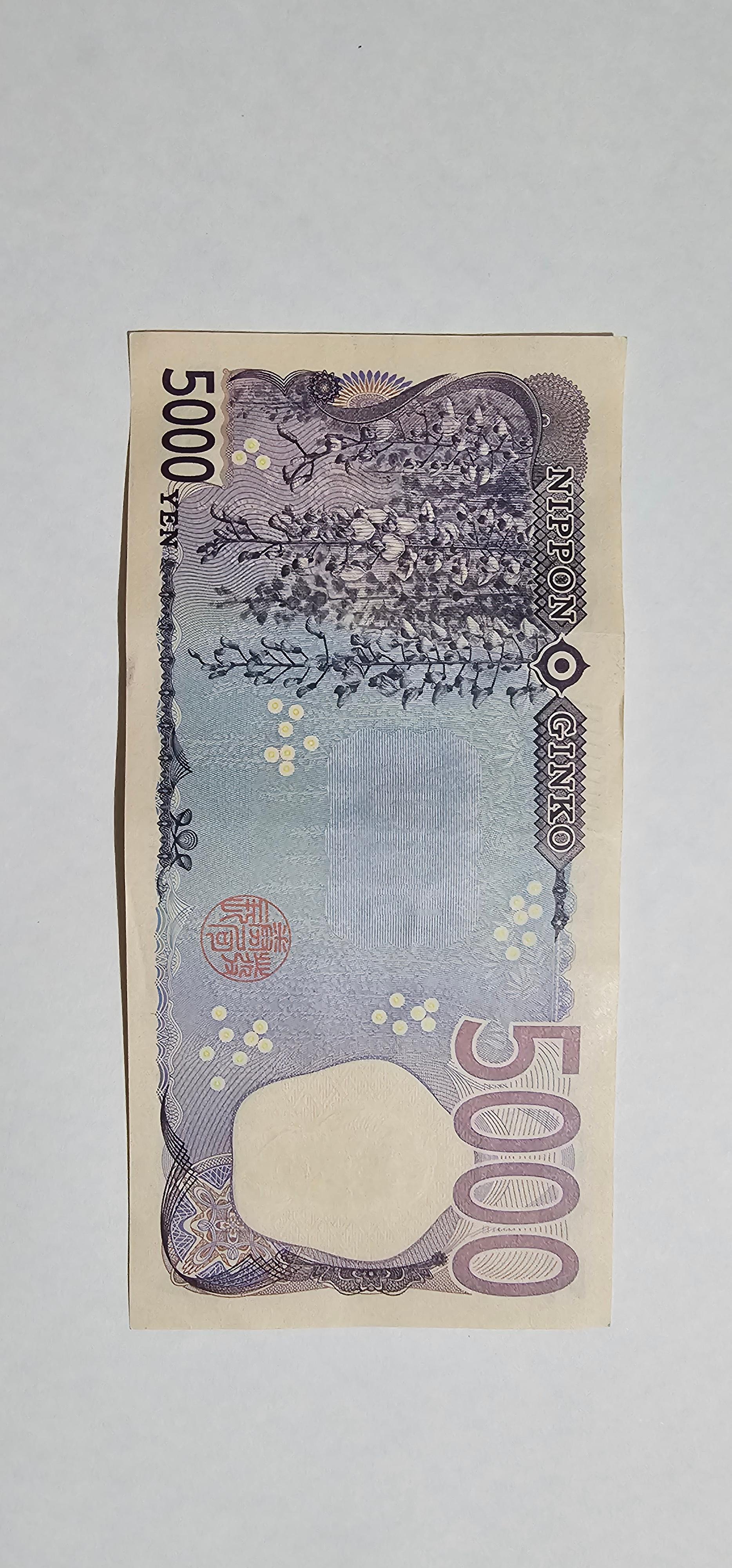 Reverso de 5000 Yenes, 2024