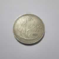 Reverso de 5000 Lira, 1993