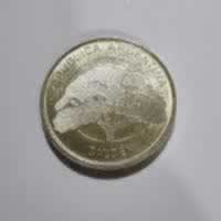 Anverso de 10 Pesos, 2020