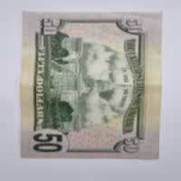Reverso de 50 Dollars, 2006