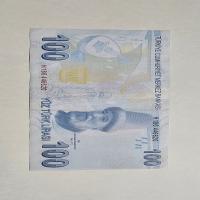 Reverso de 100 Liras, 2024