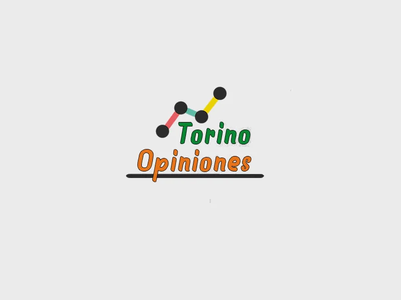Torino Opiniones | Brithers Industria de Software